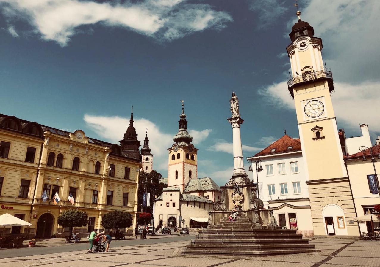 Bl - The Executive Suite, Boru - 24Hr Self Check-In, Free Private Parking, Balcony With Mountain View, 5 Minute Walk To City Center Банска-Бистрица Экстерьер фото