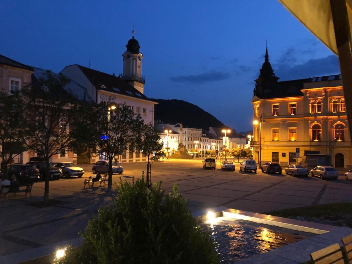 Bl - The Executive Suite, Boru - 24Hr Self Check-In, Free Private Parking, Balcony With Mountain View, 5 Minute Walk To City Center Банска-Бистрица Экстерьер фото